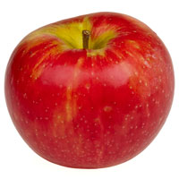 Honeycrisp Apple