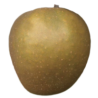 Gibson Golden Gem apple