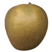 Gibson-Golden-Gem-apple Gibson Golden Gem apple