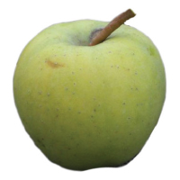 Harrison Cider apple