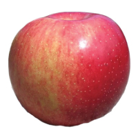Opalescent apple