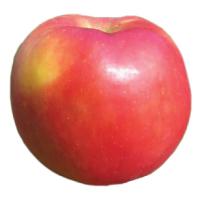 Scarlet O'hara apple