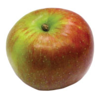 Baldwin Apple