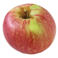 dabinett apple