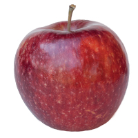 frostbite apple