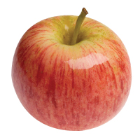 Gala Apple