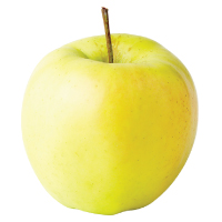 ginger-gold-apple Ginger Gold Apple