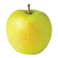 Golden Delicious Apple