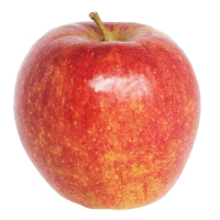 Jonagold Apple