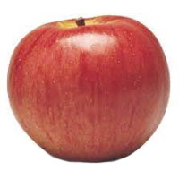 Northern Spy Apple