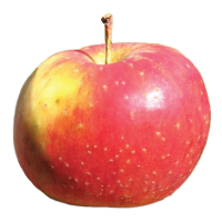 Smokehouse Apple