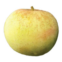 sweet coppin apple