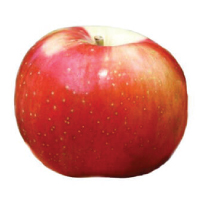 Zestar Apple