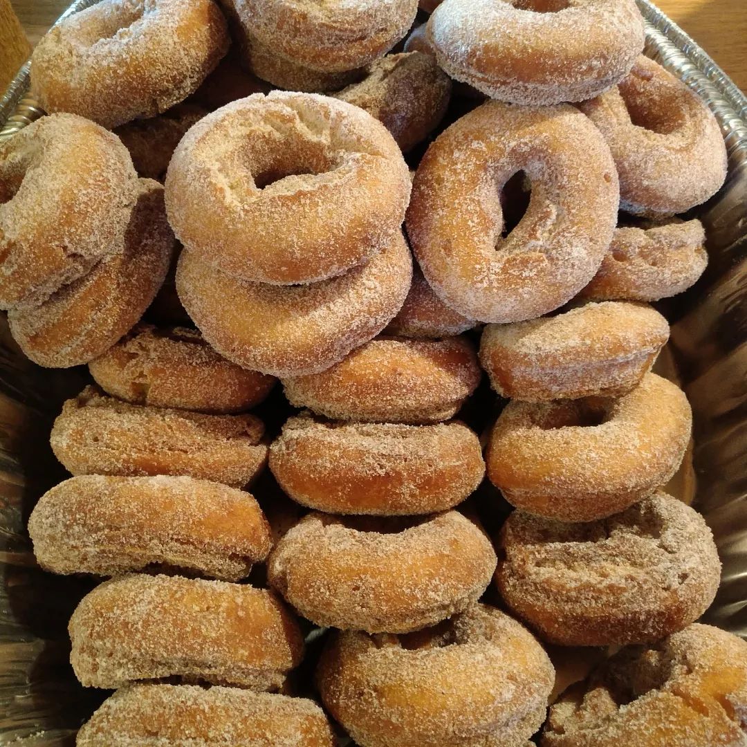 Homemade Cider Donuts in Benson, VT
