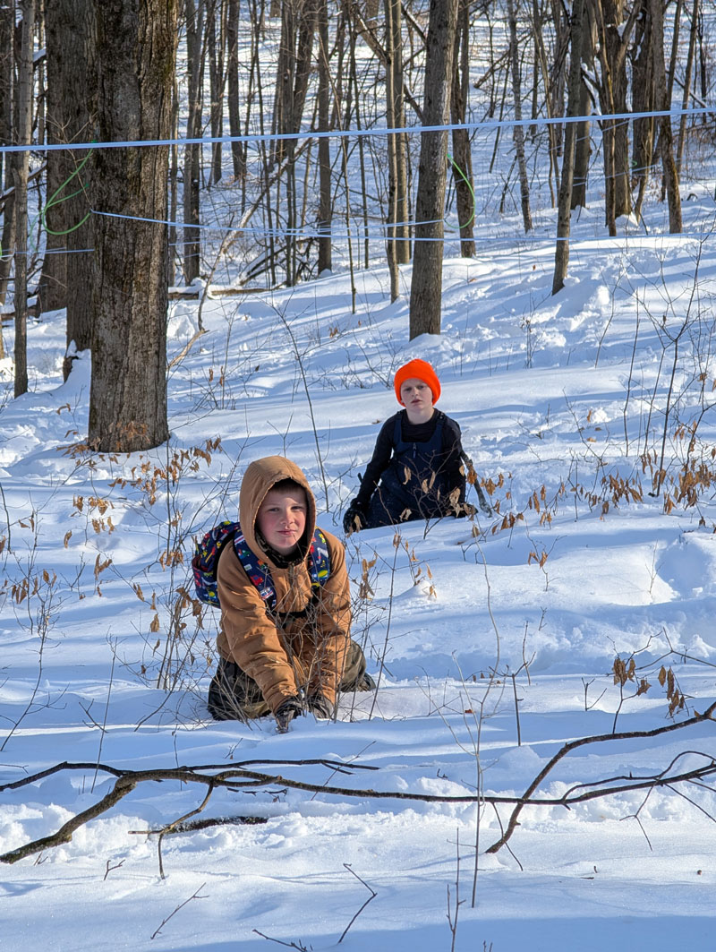Two kids playing in the snow in the woods