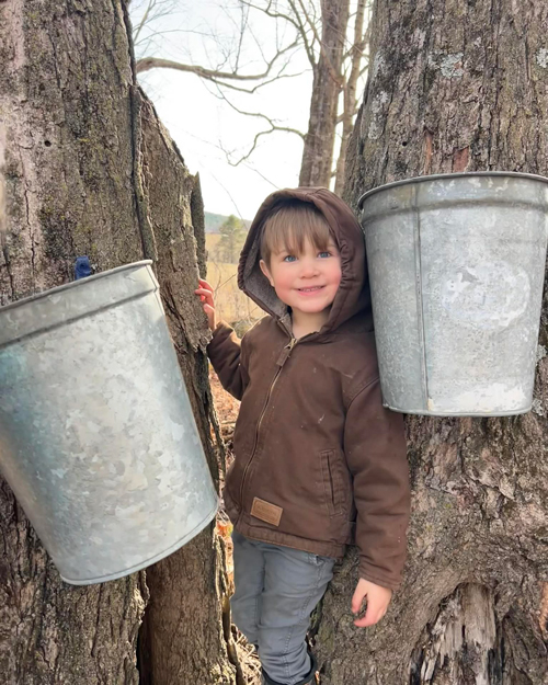 Little Boy in a brown sweatshirt standing between two maple trees with sap buckets