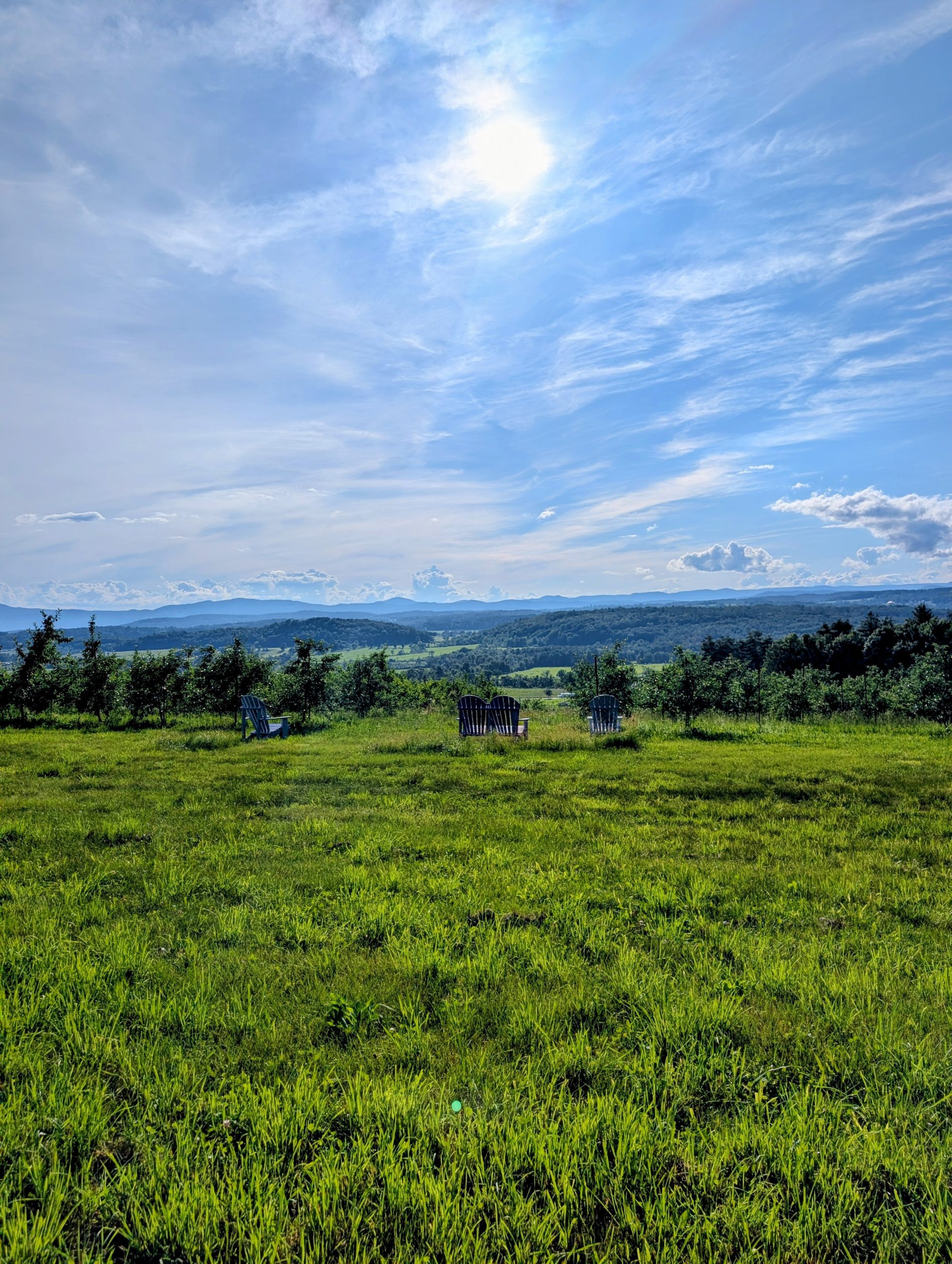 View of Cobble Knoll Orchard June 2026