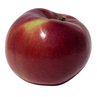 Isolated Dandee Red Apple