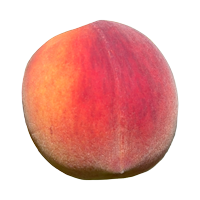 apple-photo-coming-soon Gloria Peach