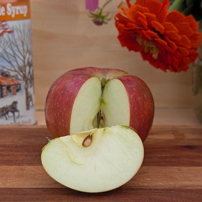 Cut McIntosh Apple