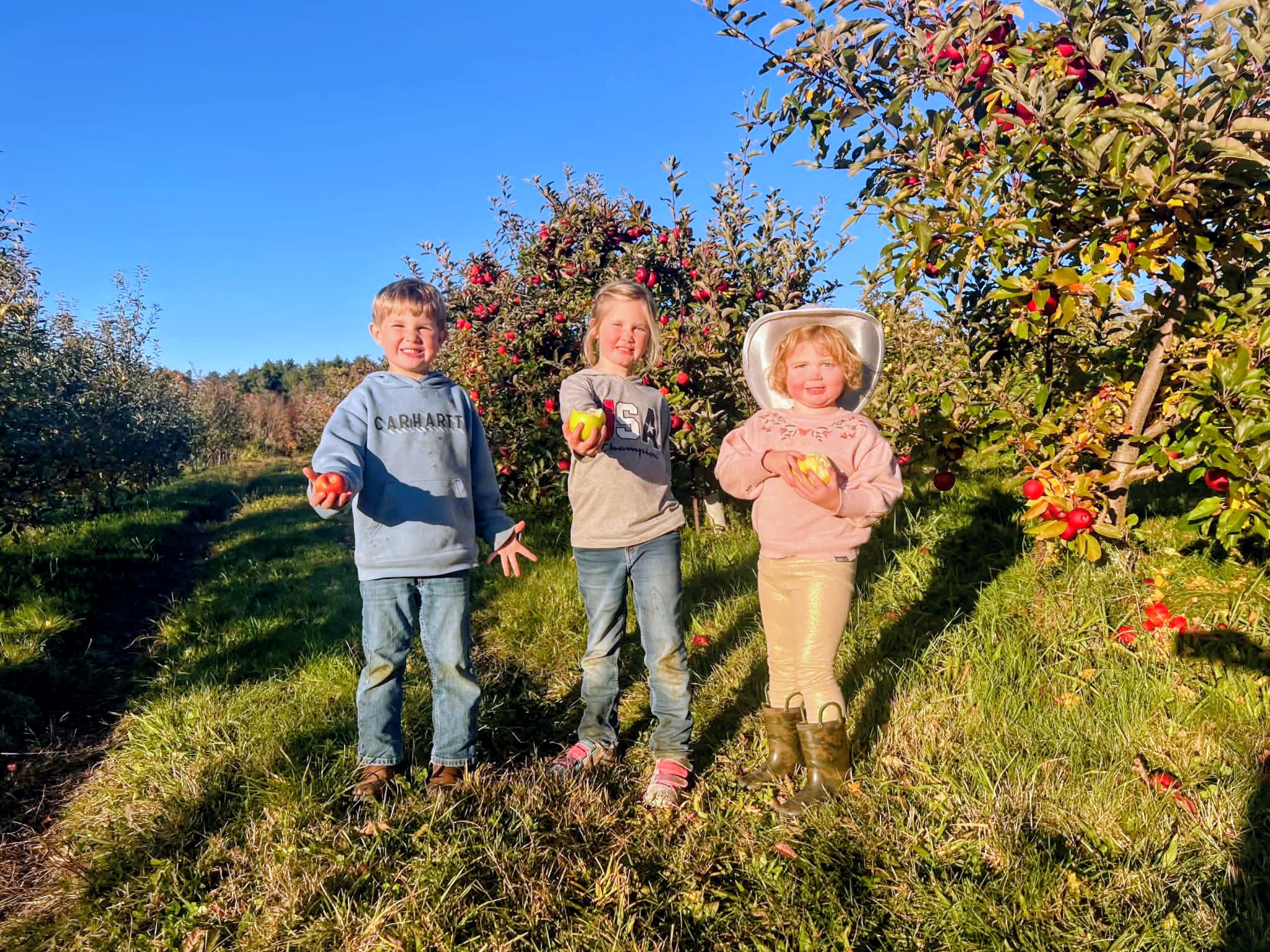 The children picking apples in an orchard